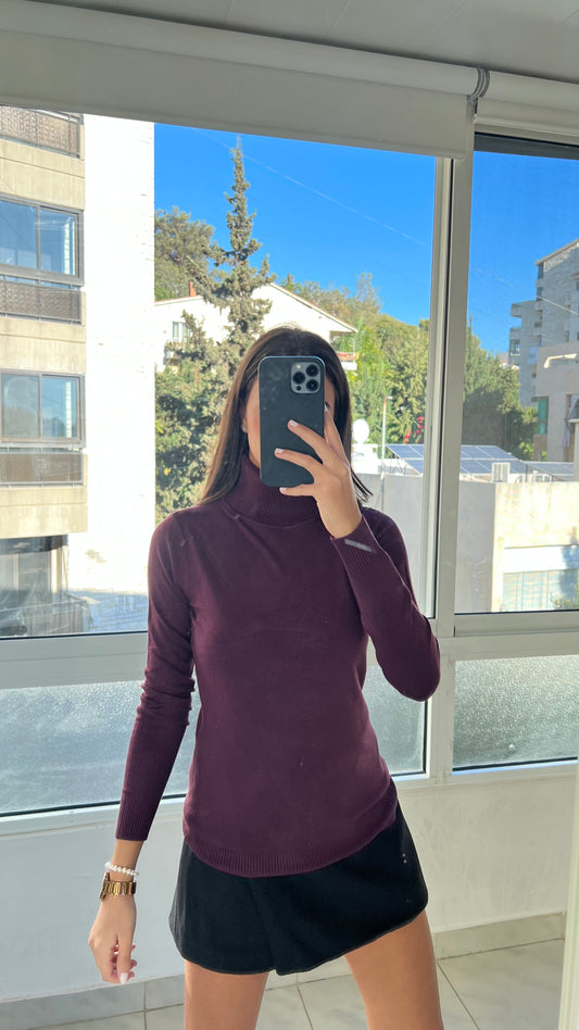 Basic Wool Turtleneck