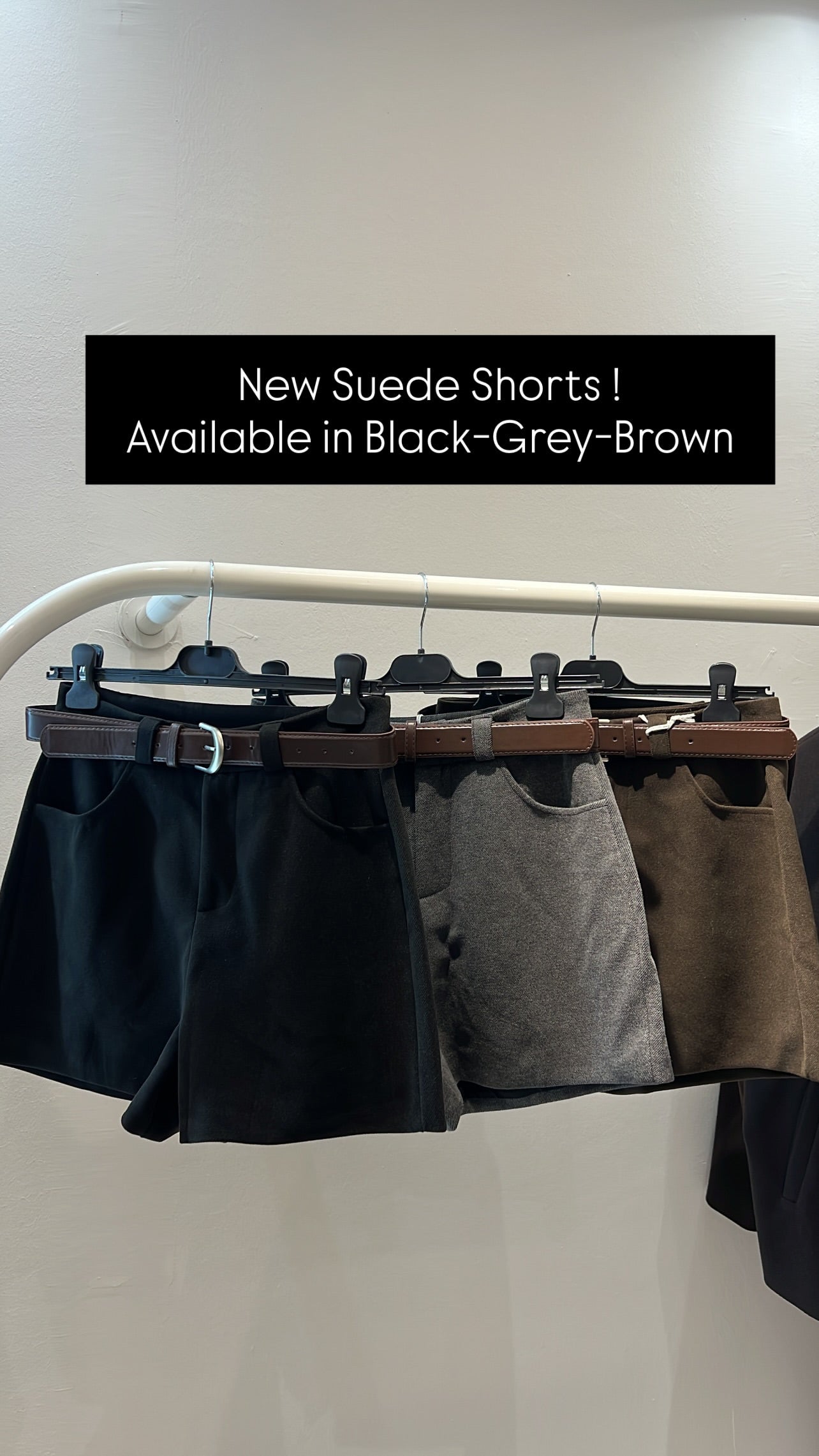 Suede  Shorts