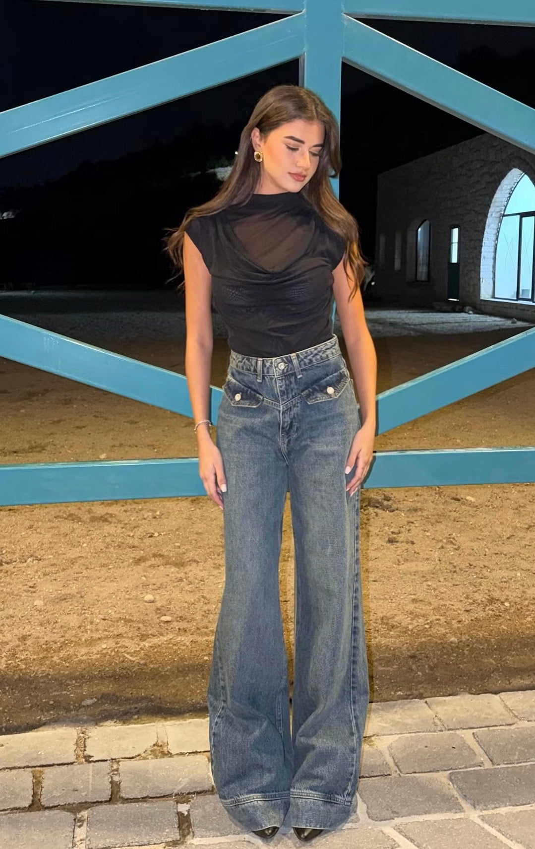 Chiffon Top